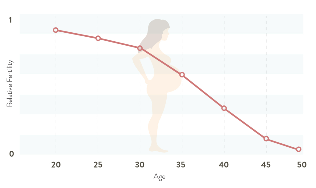 Female Fertility age chart  Age & Fertility - When are Women most